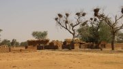 Mali: HRW dénonce les massacres commis par les jihadistes du Jnim et des chasseurs dozos dans (...)