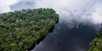 RDC : menace sur lâ€™un des plus grands piÃ¨ges Ã  carbone du monde