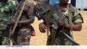 RD Congo : qui sont les Wazalendo, ces jeunes volontaires opposés au M23?